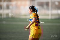 Santos Laguna vs Tigres UANL S19