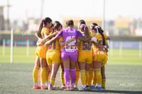 Tigres femenil