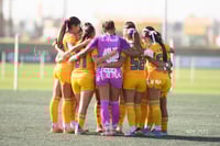 Tigres femenil
