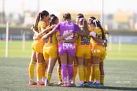 Tigres femenil