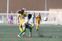 Santos Laguna vs Tigres UANL S19