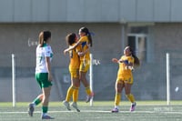 gol