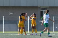 gol