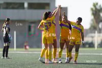 gol