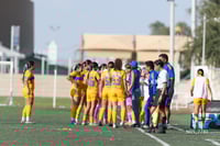 Santos Laguna vs Tigres UANL S19
