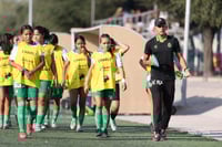 Santos Laguna vs Tigres UANL S19