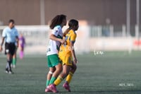 Santos Laguna vs Tigres UANL S19