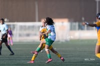 Santos Laguna vs Tigres UANL S19