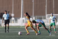 Santos Laguna vs Tigres UANL S19