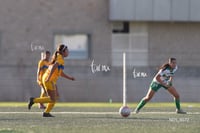 Santos Laguna vs Tigres UANL S19