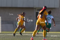 Santos Laguna vs Tigres UANL S19