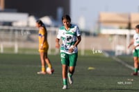 Santos Laguna vs Tigres UANL S19
