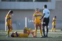 Santos Laguna vs Tigres UANL S19