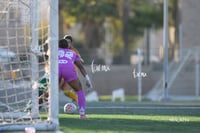 Santos Laguna vs Tigres UANL S19