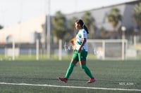 Santos Laguna vs Tigres UANL S19