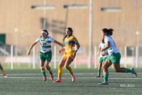 Santos Laguna vs Tigres UANL S19