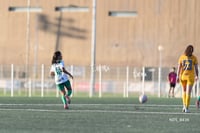 Santos Laguna vs Tigres UANL S19