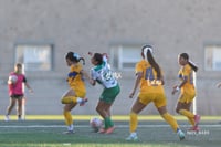 Santos Laguna vs Tigres UANL S19