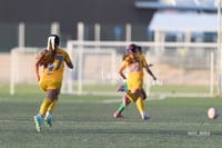 Santos Laguna vs Tigres UANL S19