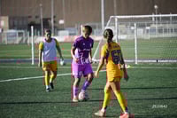 Santos Laguna vs Tigres UANL S19