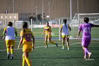 Santos Laguna vs Tigres UANL S19