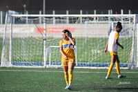 Santos Laguna vs Tigres UANL S19