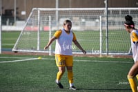 Santos Laguna vs Tigres UANL S19