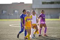Santos Laguna vs Tigres UANL S19