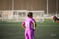 Santos Laguna vs Tigres UANL S19