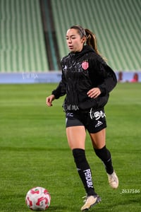 Santos vs Necaxa femenil