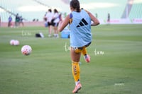 Santos vs Tigres femenil