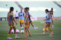 Santos vs Tigres femenil