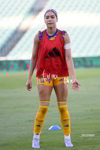 Santos vs Tigres femenil