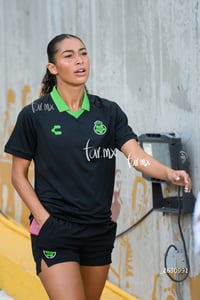 Santos vs Tigres femenil