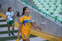 Santos vs Tigres femenil
