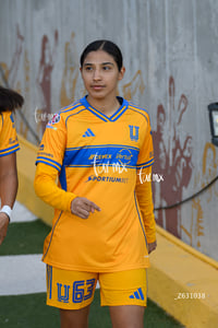 Santos vs Tigres femenil