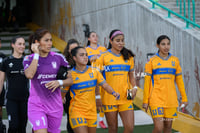 Santos vs Tigres femenil