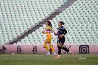 Santos vs Tigres femenil