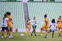 Santos vs Tigres femenil