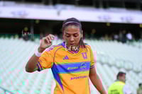 Santos vs Tigres femenil