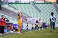 Santos vs Tigres femenil