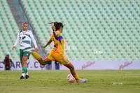 Santos vs Tigres femenil