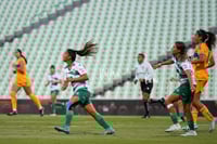 Santos vs Tigres femenil