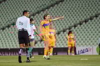 Santos vs Tigres femenil