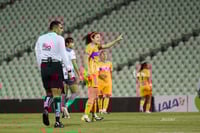 Santos vs Tigres femenil