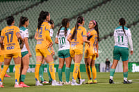 Santos vs Tigres femenil