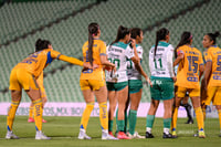 Santos vs Tigres femenil