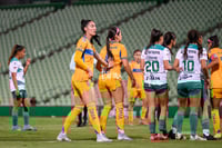 Santos vs Tigres femenil