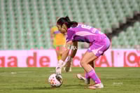 Santos vs Tigres femenil