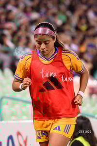 Santos vs Tigres femenil